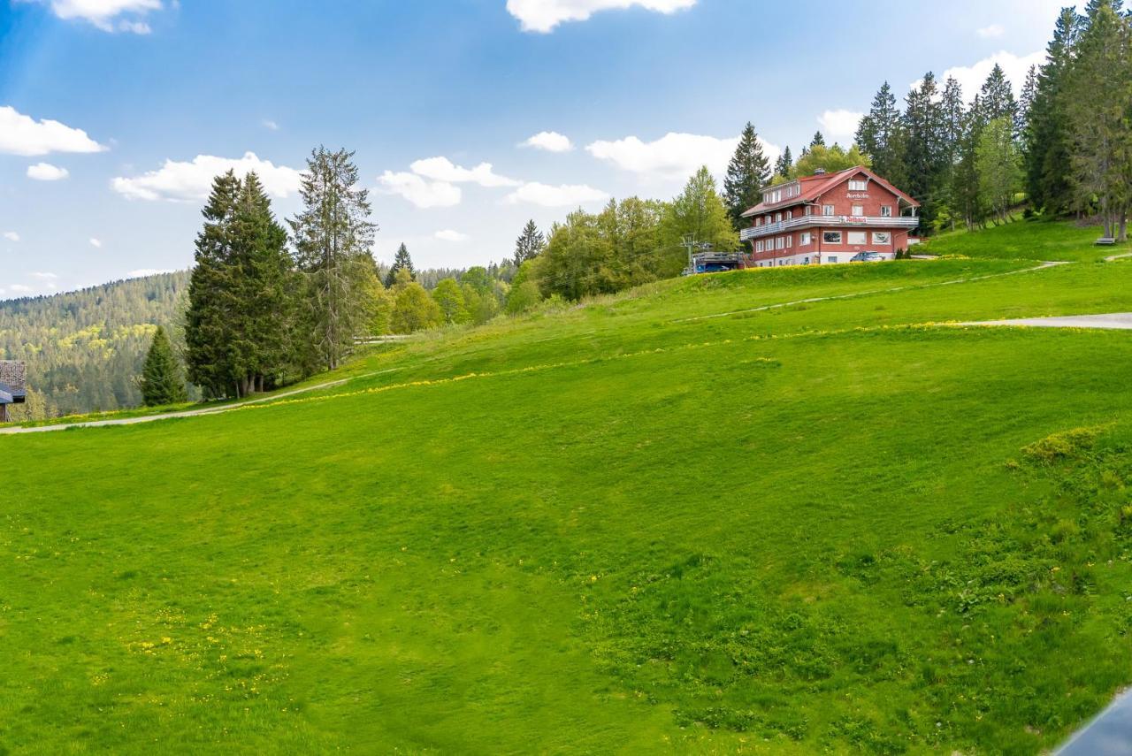 Auerhuhn Apartment Фелдберг Екстериор снимка