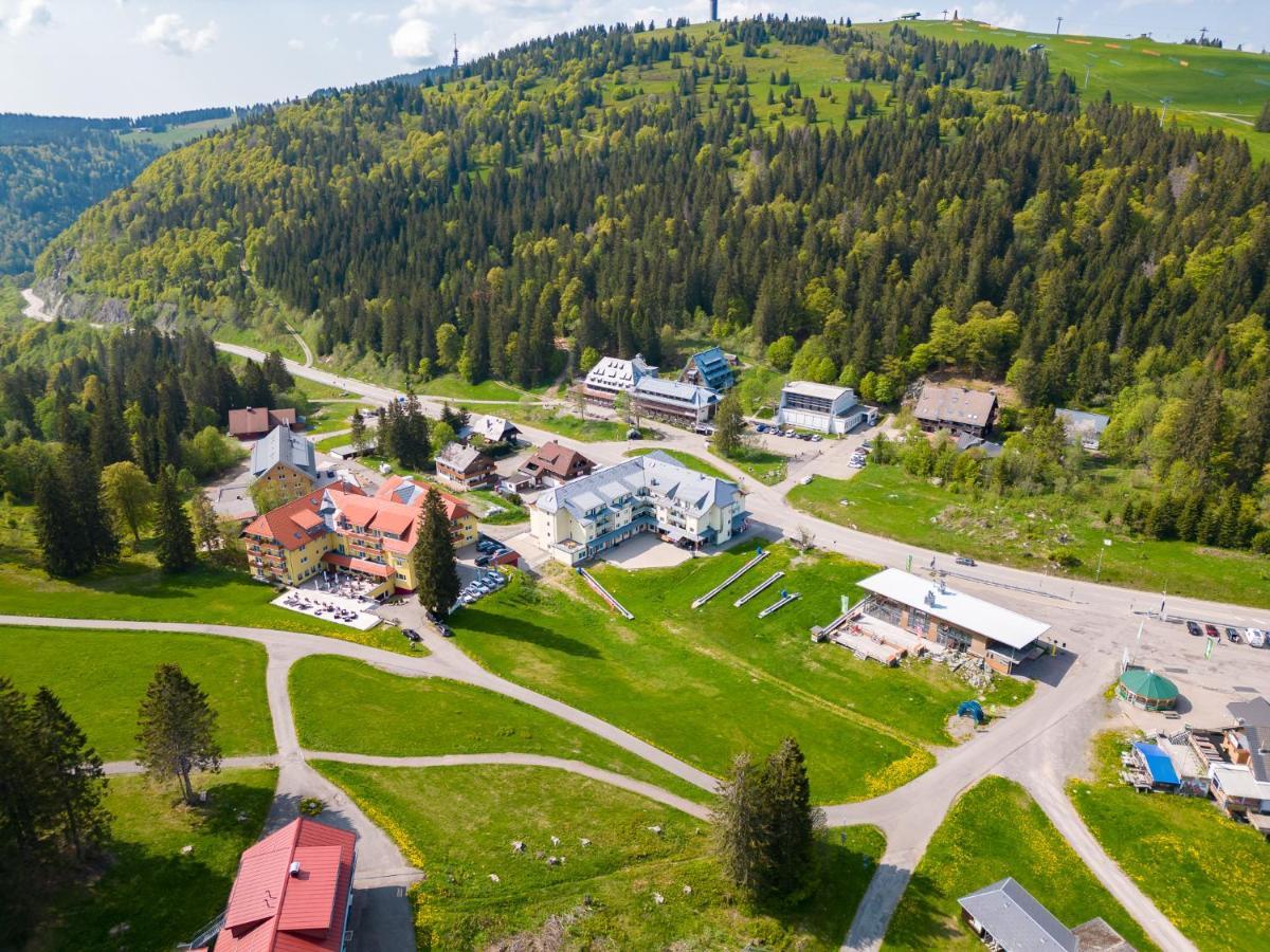 Auerhuhn Apartment Фелдберг Екстериор снимка