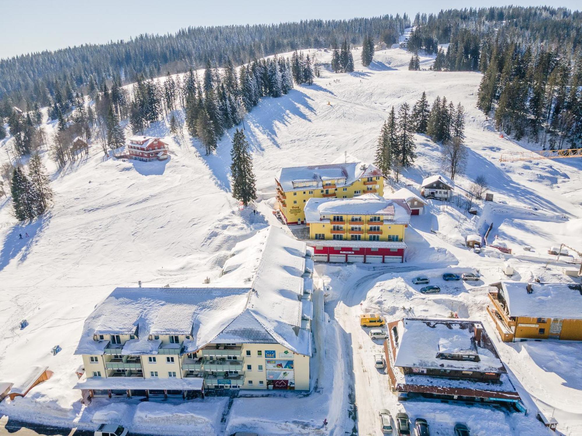 Auerhuhn Apartment Фелдберг Екстериор снимка