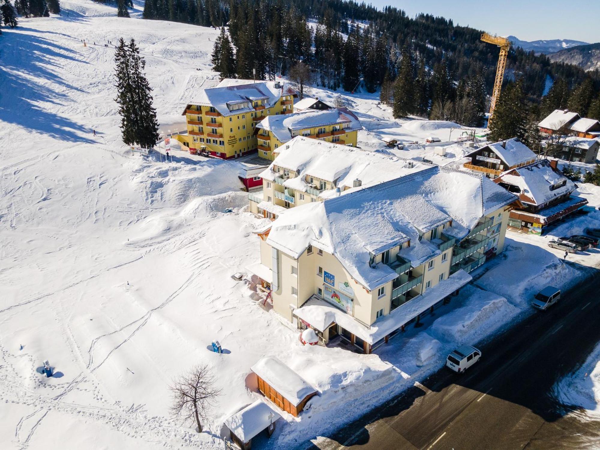 Auerhuhn Apartment Фелдберг Екстериор снимка