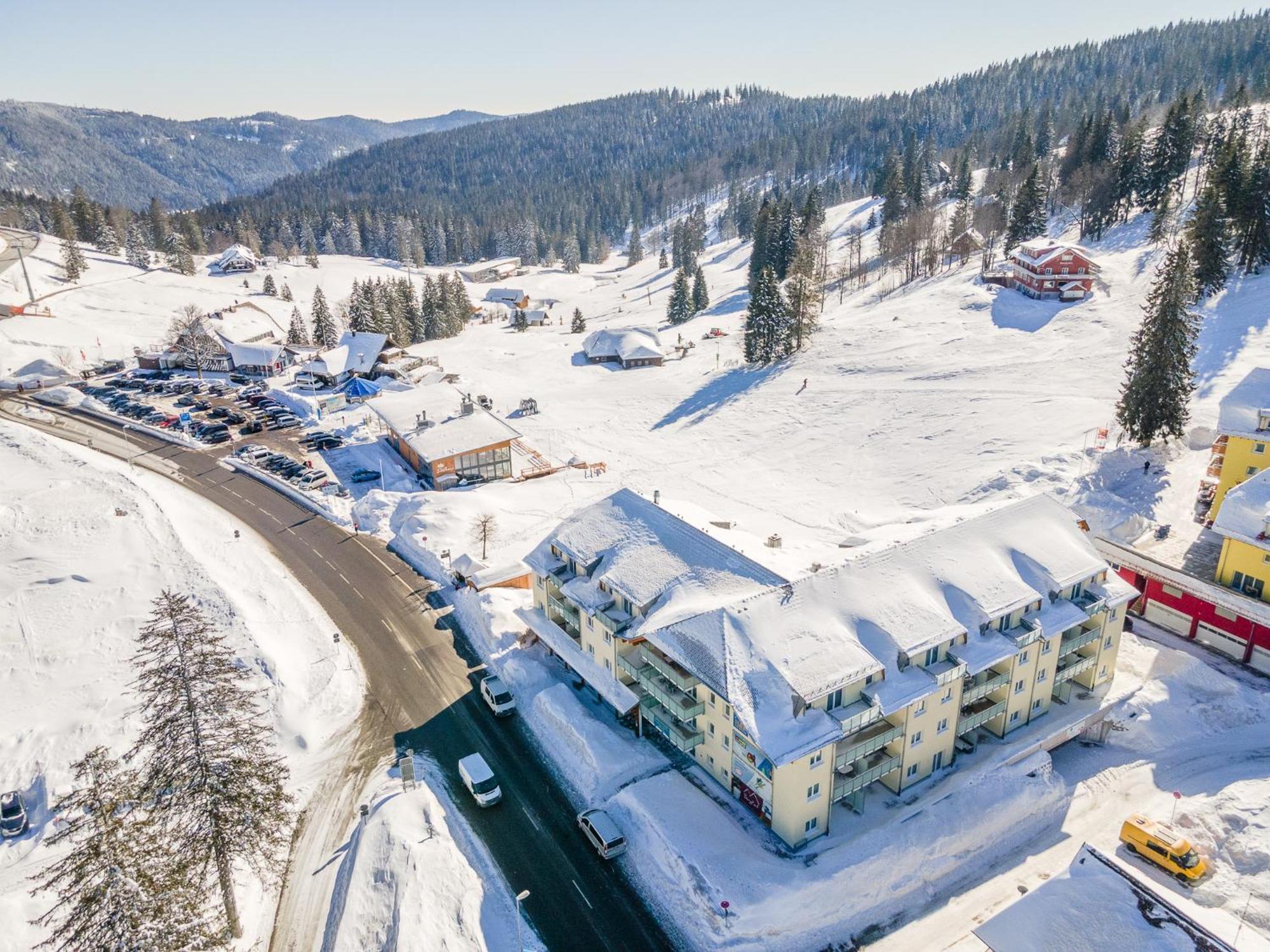 Auerhuhn Apartment Фелдберг Екстериор снимка